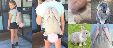 Collage of images showing a girl with a bunny backpack and rabbits