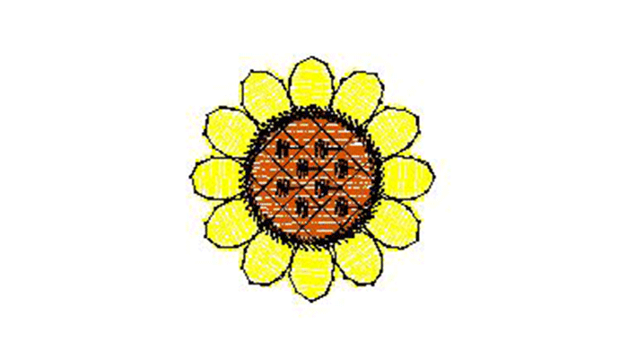 dessin d’un tournesol