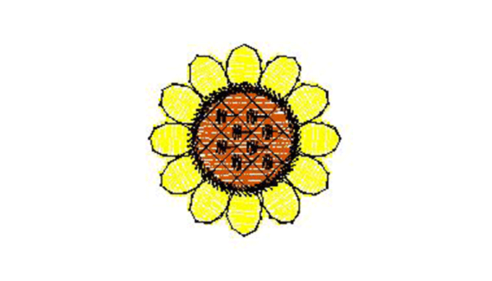 Zeichnung einer Sonnenblume.