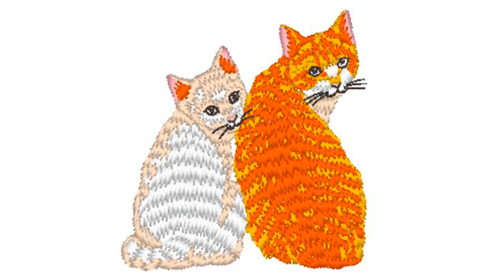 Motif de broderie de chat blanc et gingembre