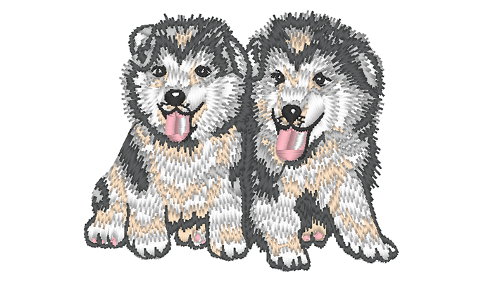 Motif de broderie de deux huskys gris sur fond blanc