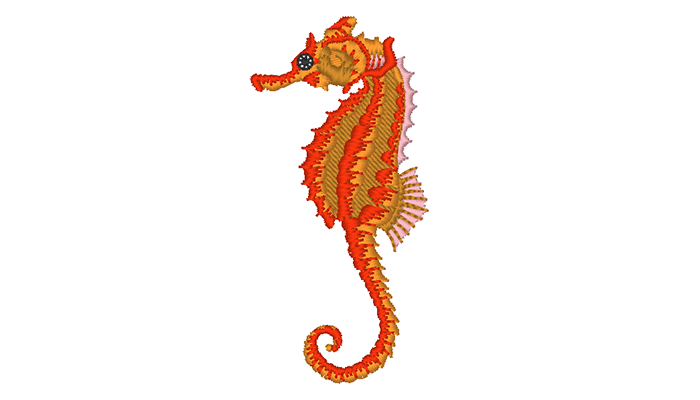 Orange Seahorse embroidery pattern