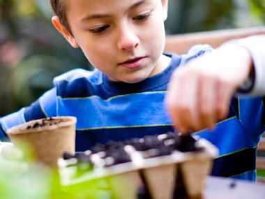 a boy potting plants