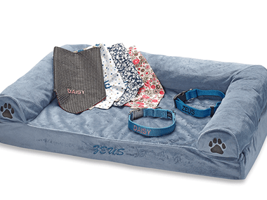 Blue dog bed and embroidered pet bandanas and collars
