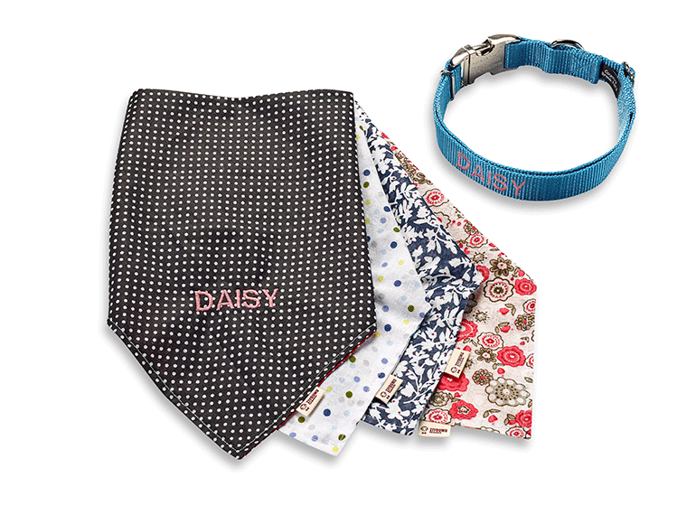 Various coloured pet bandanas and blue collar embroidered with Daisy