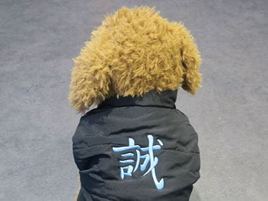 Embroidered pet jacket