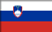 Slovenia flag