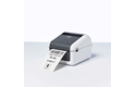 TD-4210D Desktop Label Printer 4