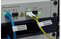 PT-E550WNIVP network infrastructure label printer kit 7