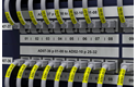 Komplet za identifikacijo omrežne infrastrukture s tiskalnikom nalepk PT-E550WNIVP 3