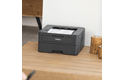 Brother HL-L2400DWE Your Efficient A4 Mono Laser Printer with 4 months free EcoPro toner subscription 5