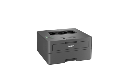 HL-L2400DWE Your Efficient A4 Mono Laser Printer with 4 months free EcoPro toner subscription 3