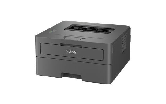 Brother HL-L2402D učinkovit črno-beli laserski tiskalnik A4 z obojestranskim tiskanjem 2