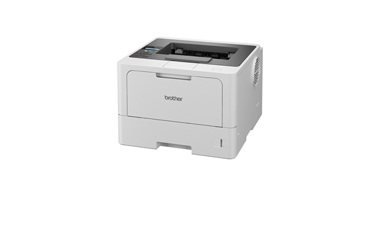 Brother HL-L5210DN - Professionel A4 s/h-laserprinter med indbygget netkort 2