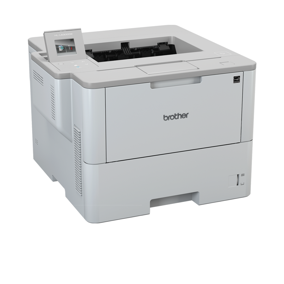 HL-L6300DW 3
