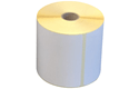 LDS1N192100113N - Uncoated die-cut label roll for direct thermal technology