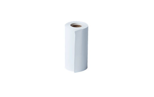 Direct Thermal Receipt Roll BDE-1J000057-030