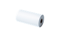 BDE-1J000079-040 papier thermique pour reçus de 79 mm 2
