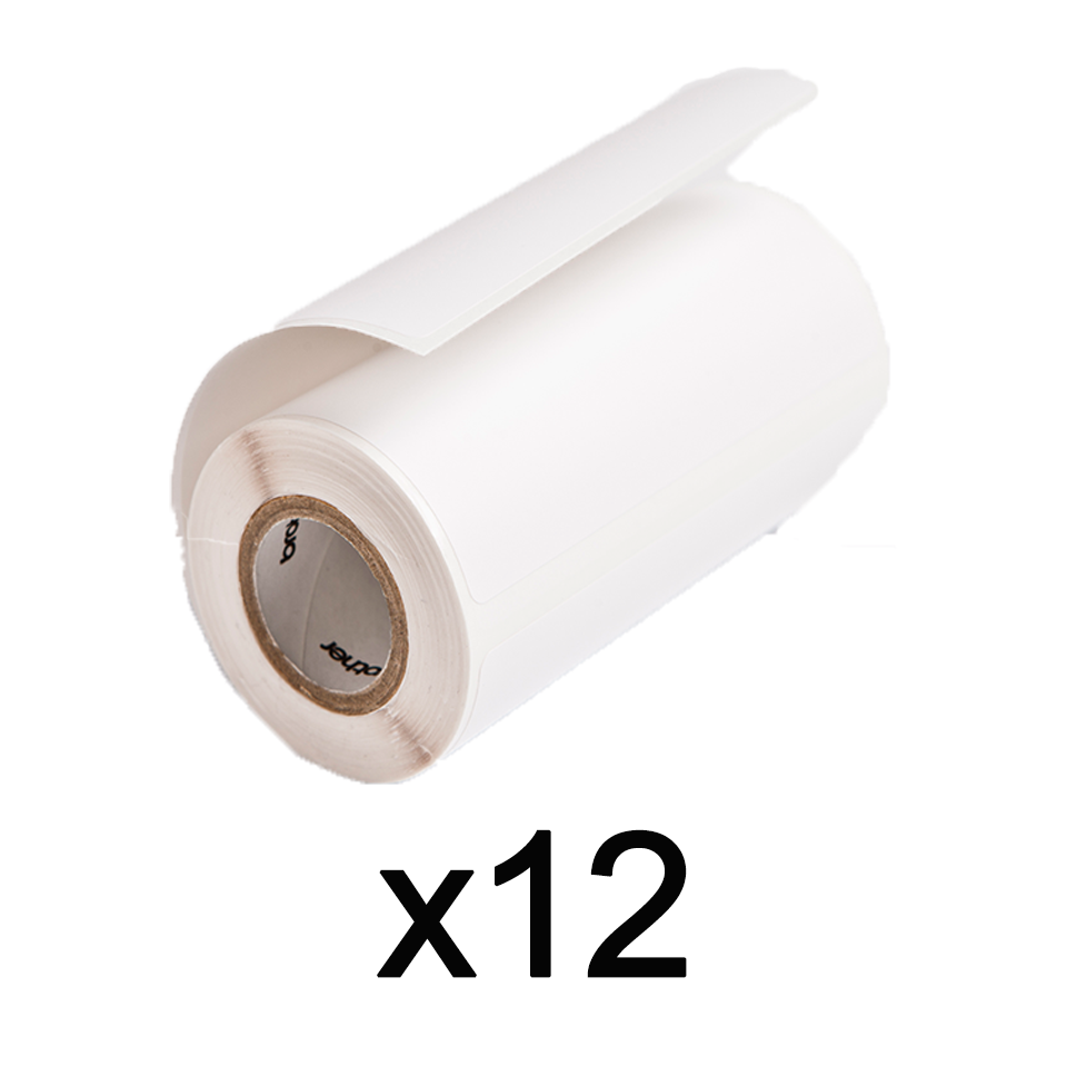 RD-M03E1 12 x Label Rolls