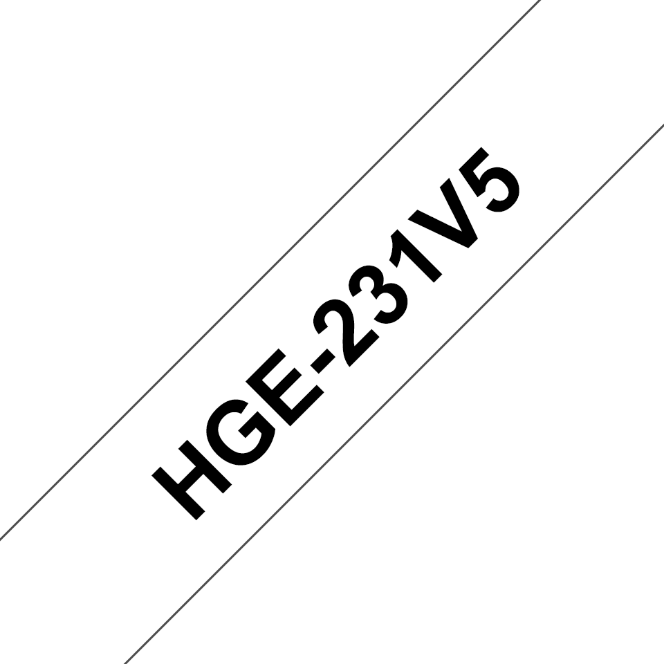 HGE231V5