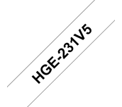 HGE231V5_main