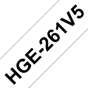 HGE261V5_main