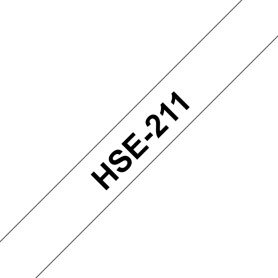 HSE211