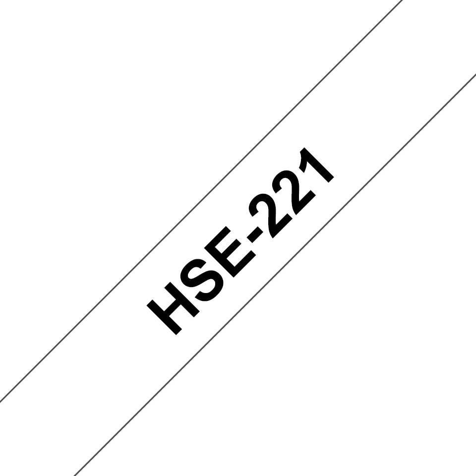 HSE221