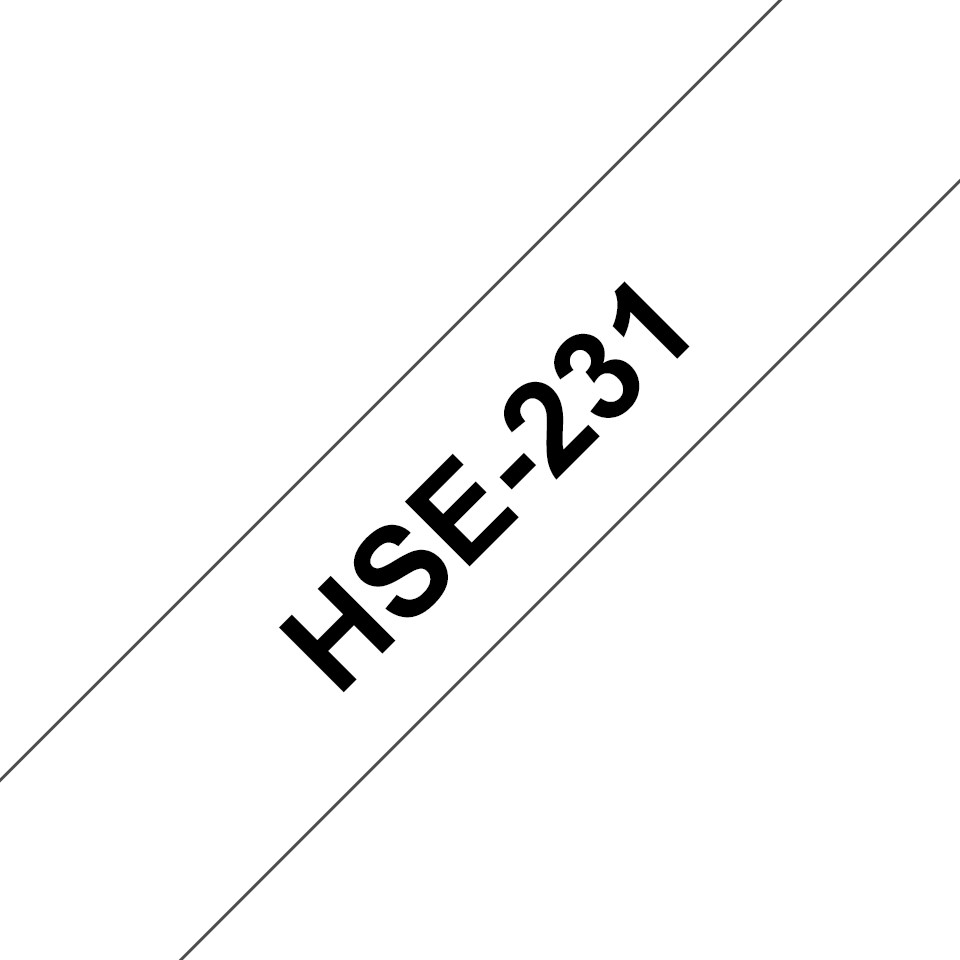 HSE231_main