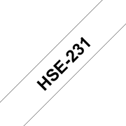 HSE231