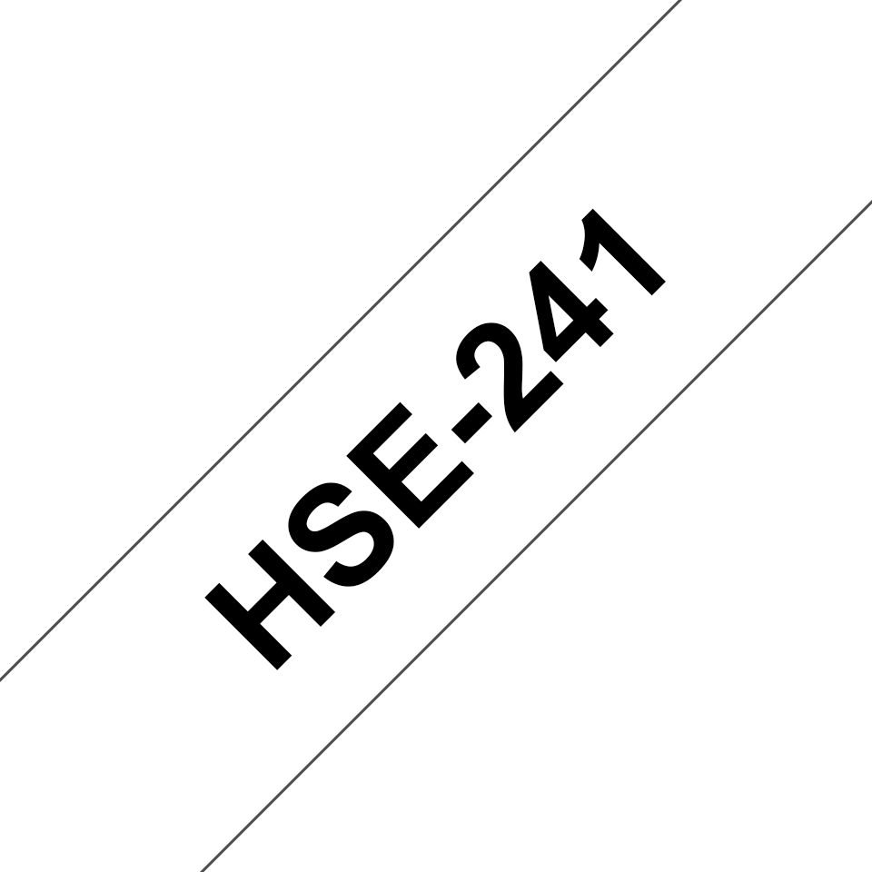 HSE241_main