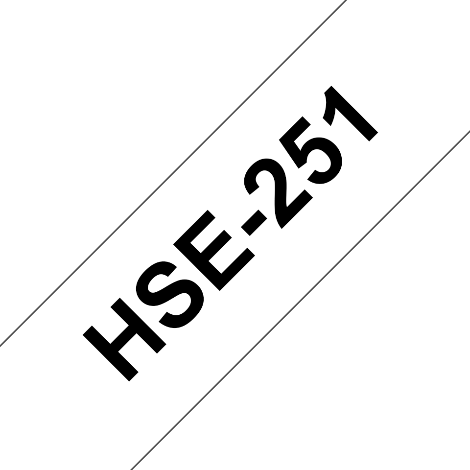 HSE251-glavna slika