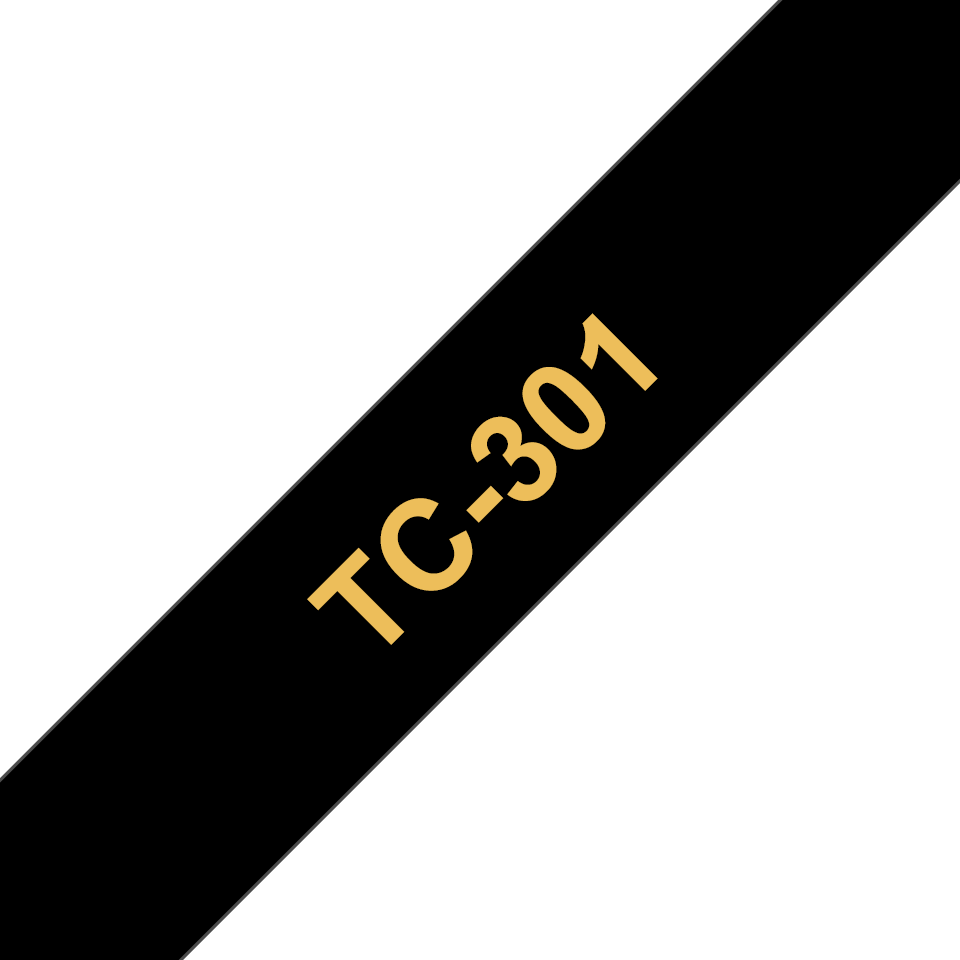 TC301_main