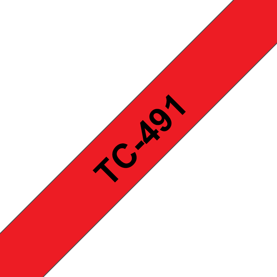 TC491_main