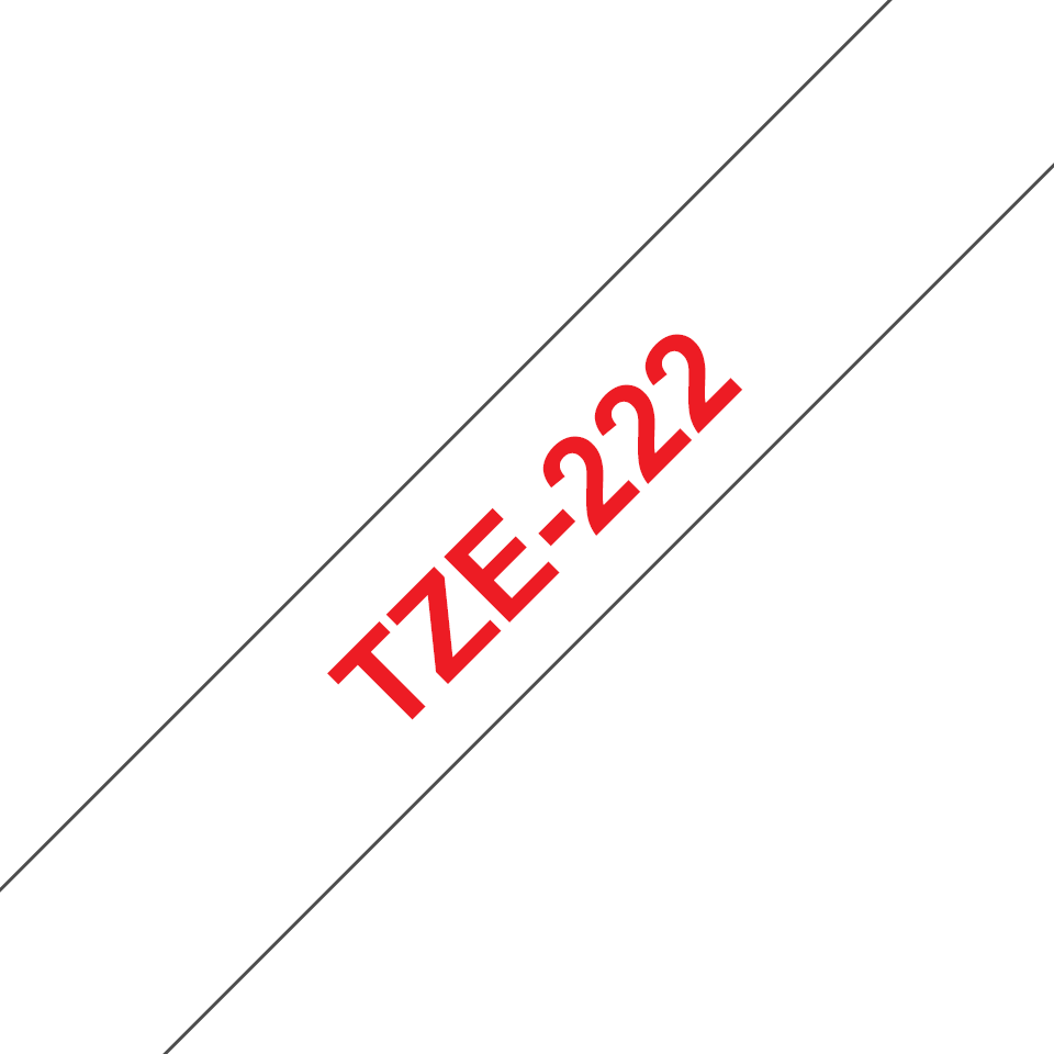 TZe222_main