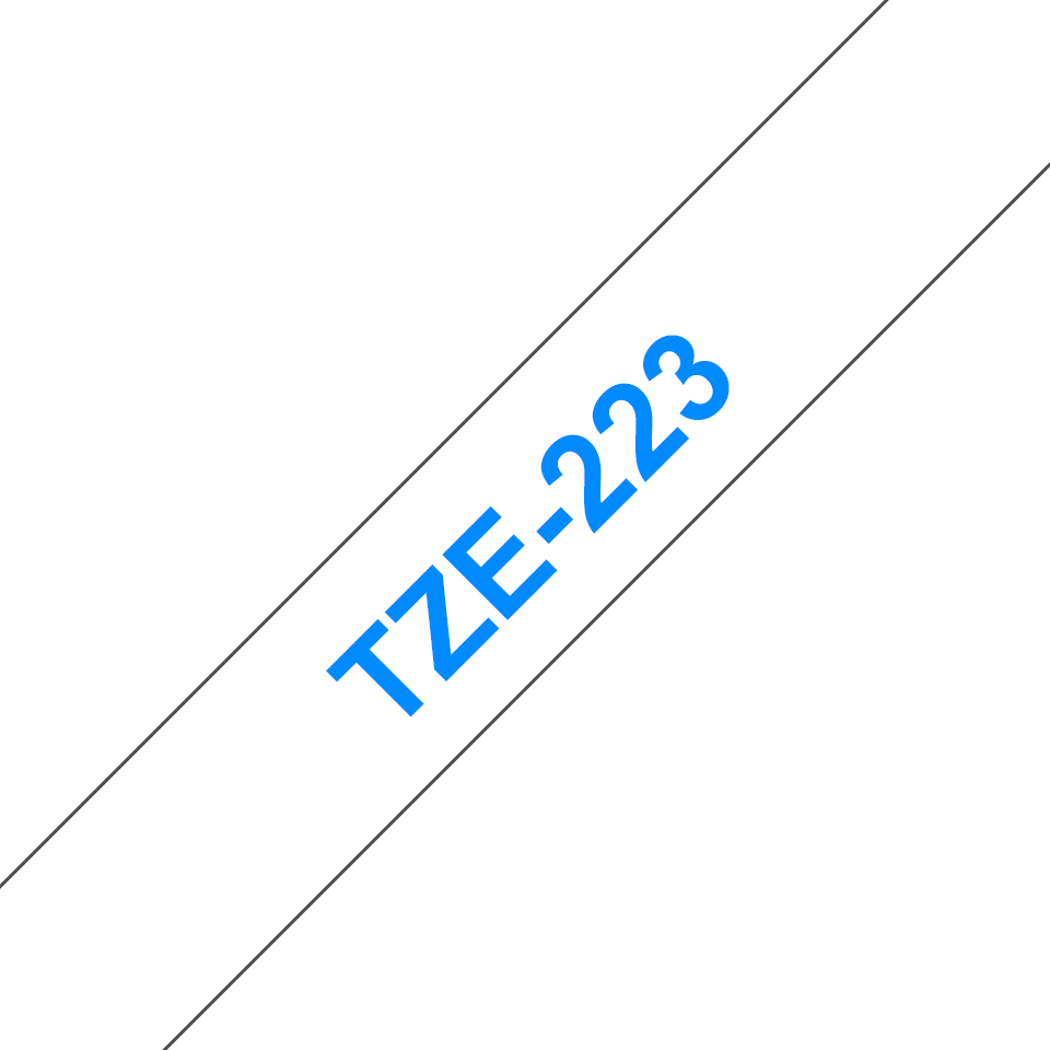 TZe223_main