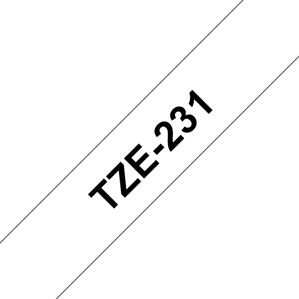 TZe231