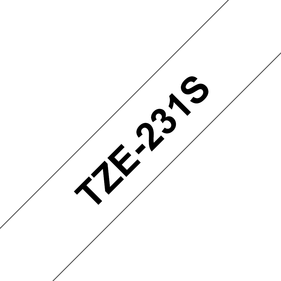 TZe231S_main