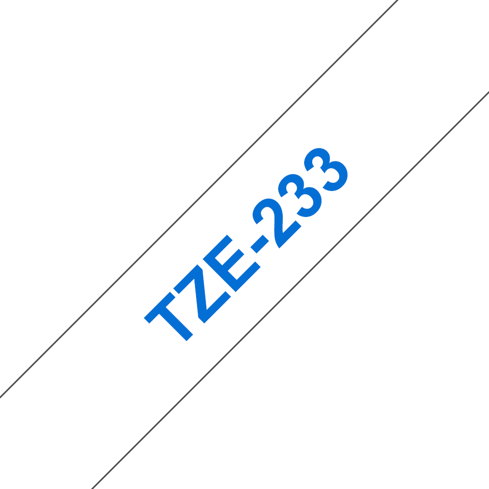 TZe233_main