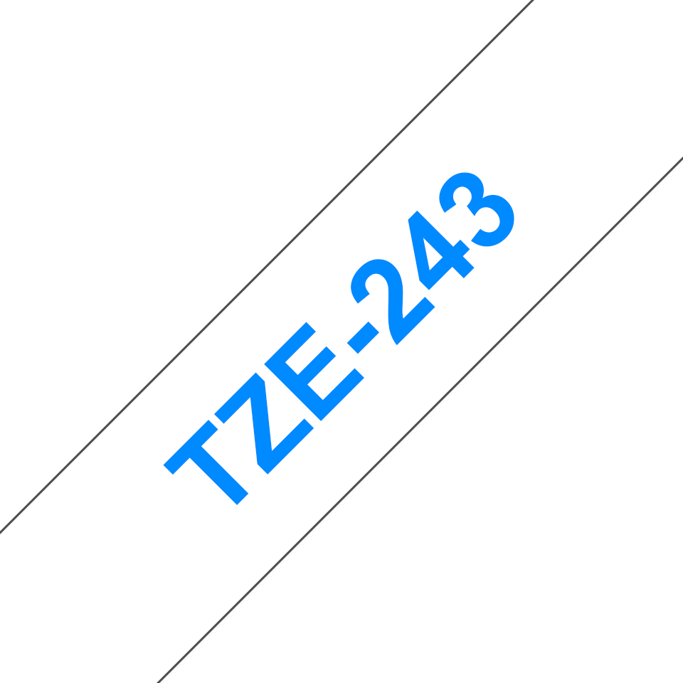 TZe243_main