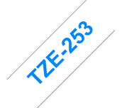 TZe253_main