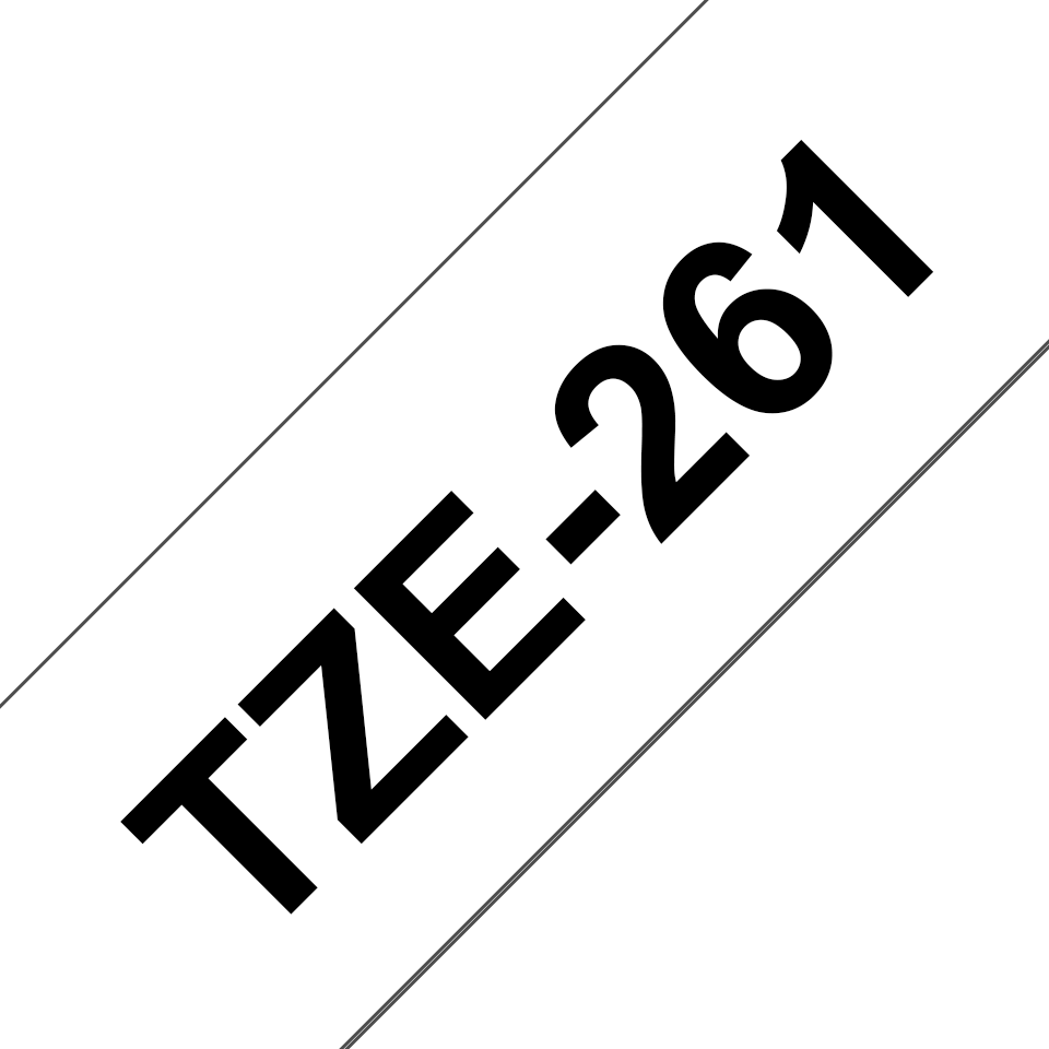 TZe261_main