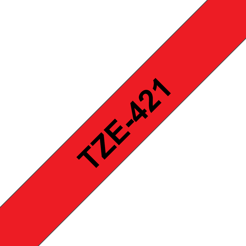 TZe421_main