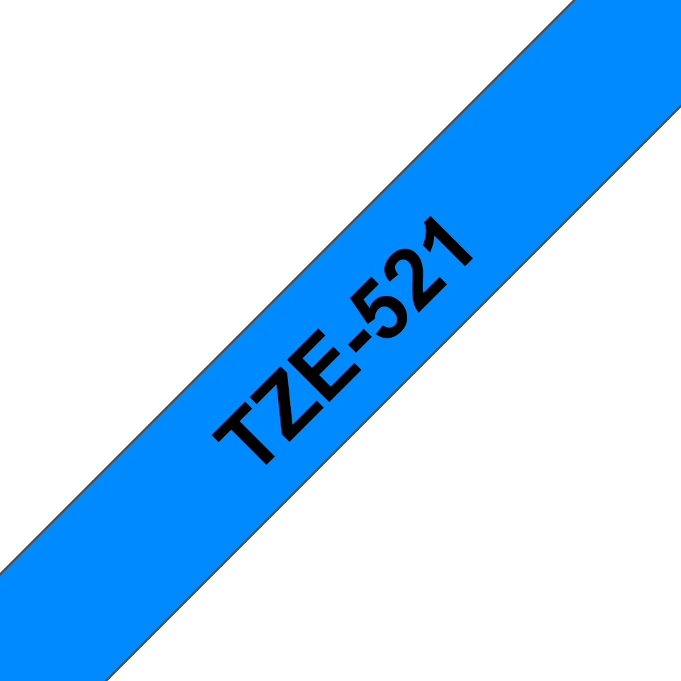 TZe521_main