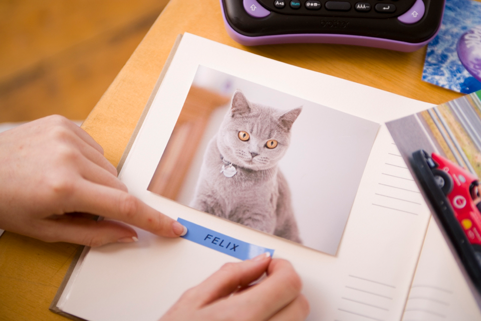 Perheen kissa on nimetty TZe531-tarranauhalla valokuva-albumiin