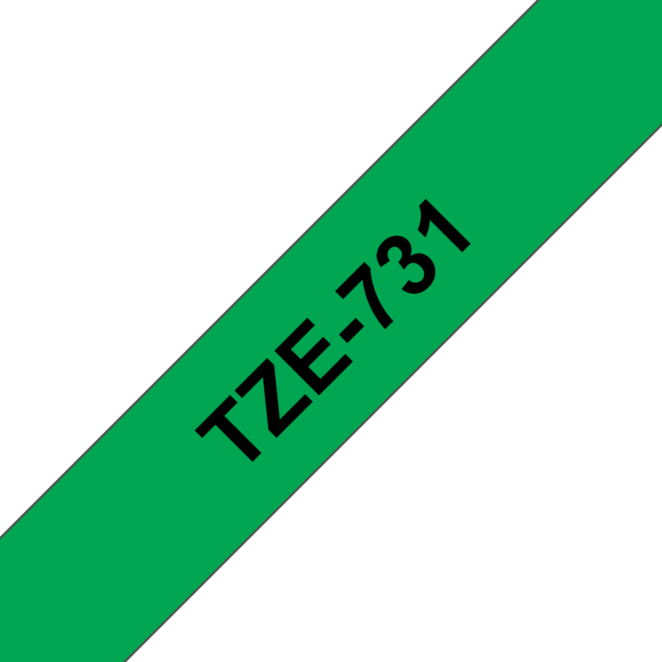 TZe731_main