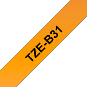 TZeB31_main