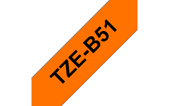 TZeB51