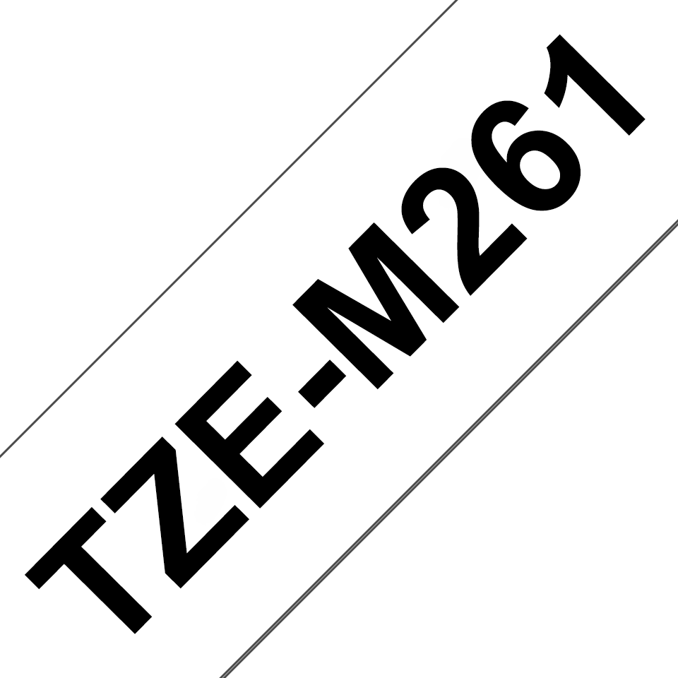 TZeM261_main