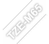 TZeM65_main